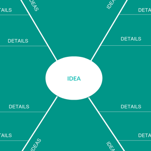 Schema del diagramma del ragno 2